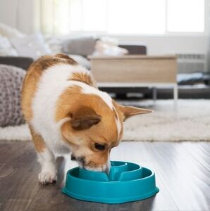 Outward Hound Turquoise Small/Medium Slow Feeder Pet Dog Bowl